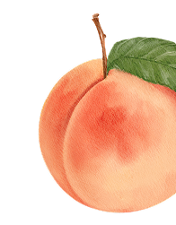 Peach Please asset 5